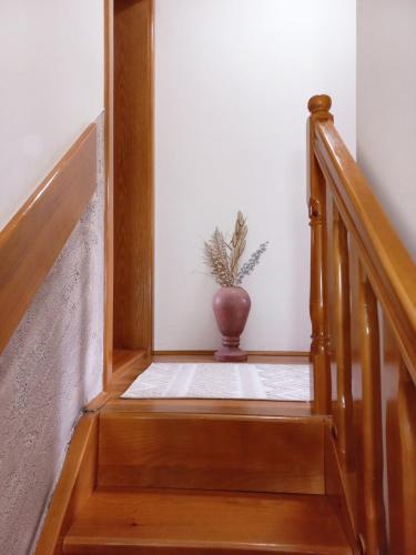 a stairway with a vase sitting next to a stair case at TARA Vila Rajak in Zaovine