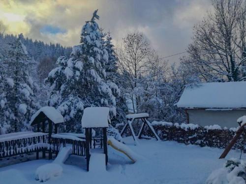 a snow covered yard with a christmas tree and a bench at Penzion Rudolf in Liberec