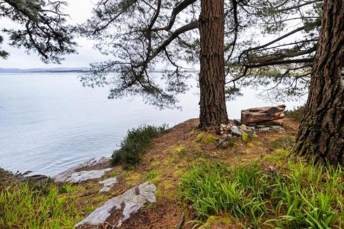 a hill with two trees and a body of water at Luxury House on Seafront in Curryglass