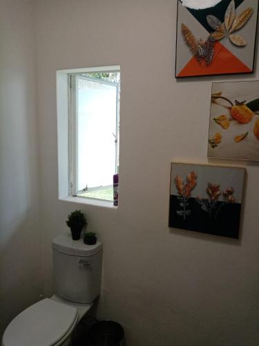 a bathroom with a toilet and a window at De la Rose Guesthouse in Lephalale
