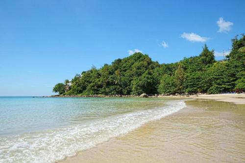 a beach with trees and the ocean on a clear day at Near beach hostel in Bang Tao Beach