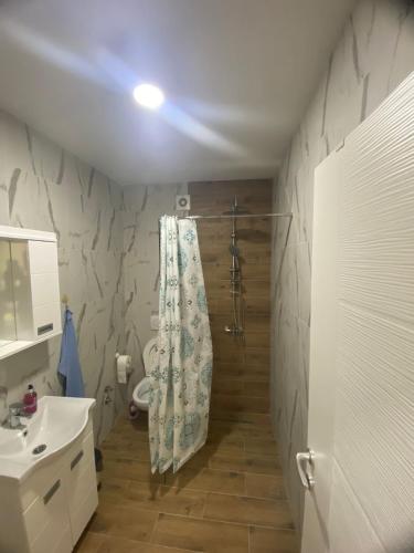 a bathroom with a shower curtain and a sink at Apartmani Kostić 