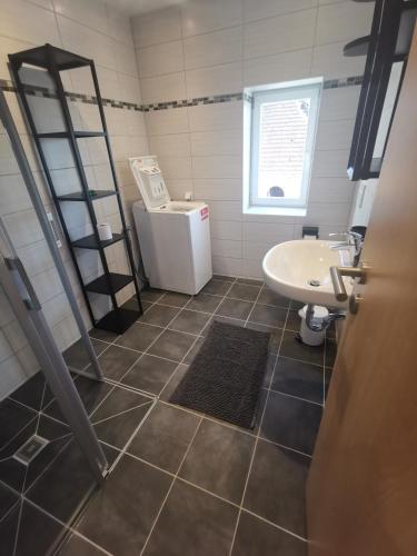 a bathroom with a sink and a refrigerator at Monteursunterkunft in Senftenberg in Sedlitz