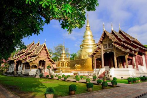 a group of temples with gold domes in a park at The Connect Chiang Mai in Chiang Mai