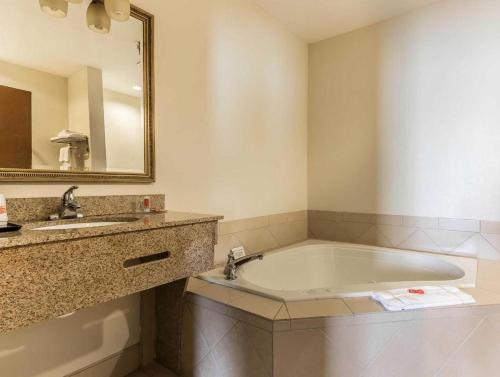 a bathroom with a tub and a sink and a mirror at Econo Lodge in Eutaw