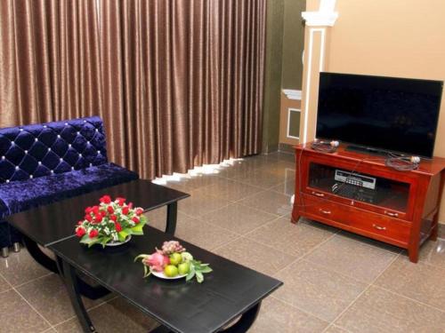 TV a/nebo společenská místnost v ubytování Tran Vinh Hotel