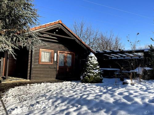 a house with a snow covered yard in front of it at Útulný srub na jihu Brna in Želešice