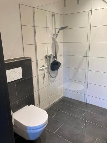 a bathroom with a shower and a toilet at Appartement Willems in Konz