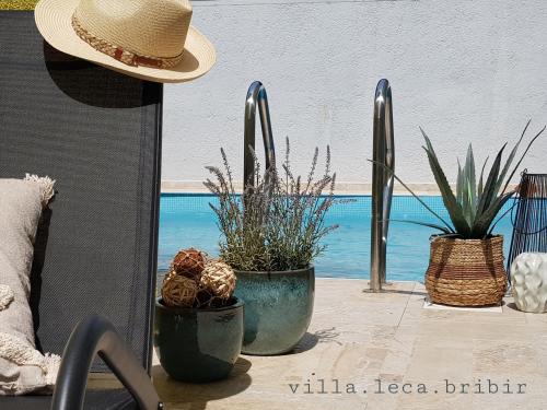 two potted plants sitting on a patio with a hat at Villa Leca with heated private pool & sauna in Bribir