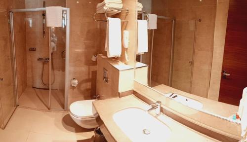 a bathroom with a sink and a shower and a toilet at Adranos Hotel in Bursa