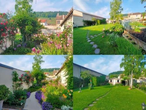 a collage of photos of a garden at Les Galipes in Avize