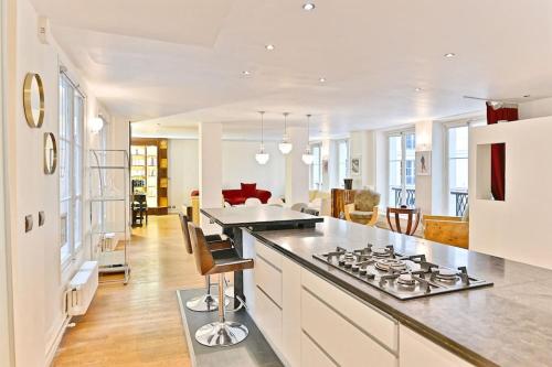 Il comprend une cuisine équipée de plaques de cuisson et un salon. dans l'établissement Appartement prestigieux et lumineux de 150m2 - II, à Paris