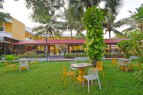 a group of tables and chairs in the grass at Poppys Olive de' villa in Auroville