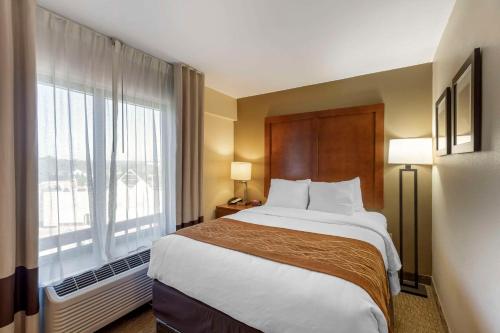a hotel room with a bed and a large window at Comfort Inn Kennesaw in Kennesaw