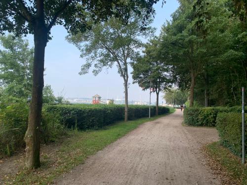 a dirt road with trees on either side of it at Traumferienwohnung222 in Neustadt in Holstein
