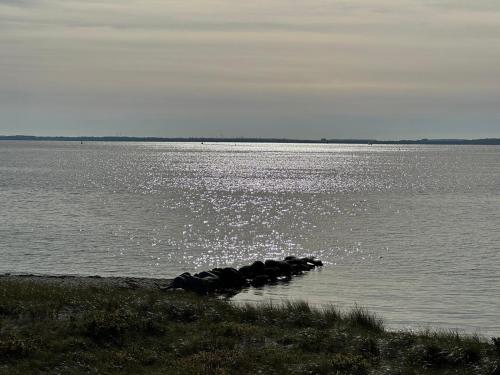 a body of water with a group of rocks in the water at Traumferienwohnung222 in Neustadt in Holstein