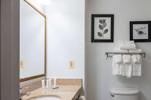 a bathroom with a sink and a toilet and a mirror at Country Inn & Suites by Radisson, BWI Airport Baltimore , MD in Linthicum Heights