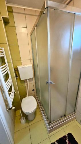 a bathroom with a shower with a toilet in it at Sova in Vršac