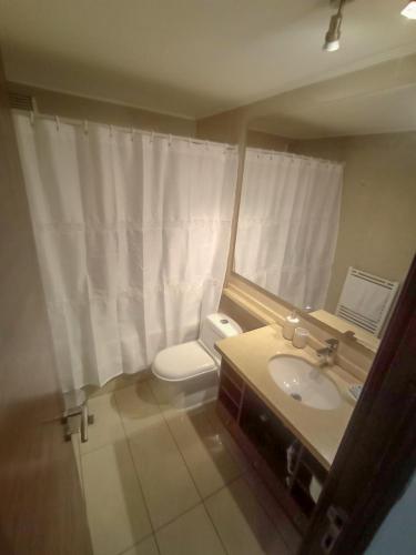 a bathroom with a toilet and a sink and a mirror at Apart Barrio El Golf con piscina in Santiago