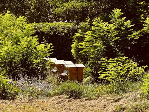 Jardín al aire libre en Campanile Lyon Nord - Ecully