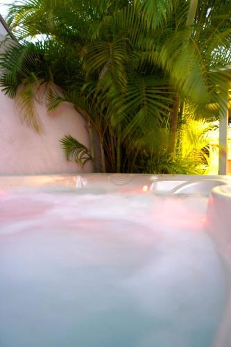eine Palme vor einer Wand mit in der Unterkunft Charming bungalow in Saint Barthélemy with shared pool in Saint Barthelemy