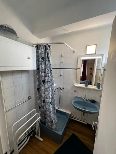 a small bathroom with a sink and a shower at le nid berruyer en centre-ville in Bourges