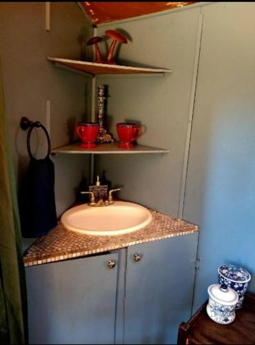 a bathroom with a sink and shelves above it at Backpacker's Dream with detached bathroom, private trails and creek! in Topanga Park