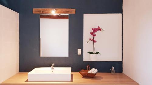 Koupelna v ubytování Ritournelle en Provence 19 personnes 4 étoiles