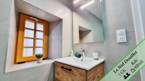 une salle de bain avec un lavabo et un miroir dans l'établissement Les Appartements Charme et Élégance, à Sainte-Croix-en-Plaine