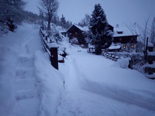 a snow covered street with a house in the background at "Tiny Tenne" 15m2 im Altem Bergbauernhaus 1110m in Purbach