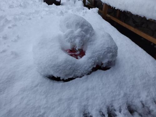 a snow covered car is covered in snow at "Tiny Tenne" 15m2 im Altem Bergbauernhaus 1110m in Purbach