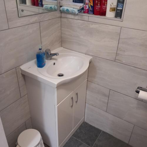 a bathroom with a white sink and a toilet at Wara in Kingston upon Thames