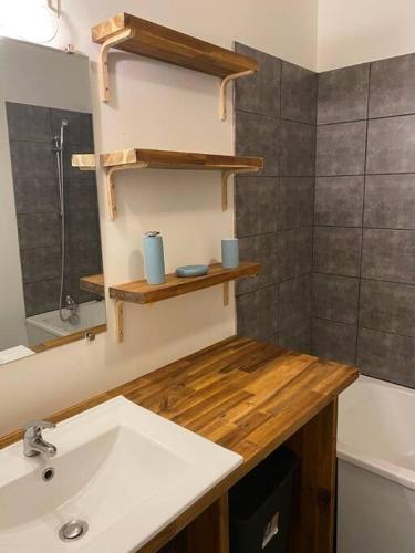 une salle de bain avec un lavabo et un miroir dans l'établissement Appartement proche conservatoire hyper centre, à Reims