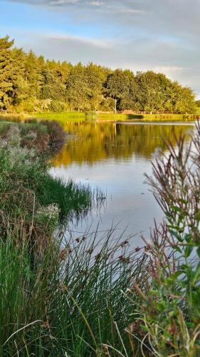 a body of water with trees in the background at East Learmouth Lakeside Lodges in Cornhill-on-tweed