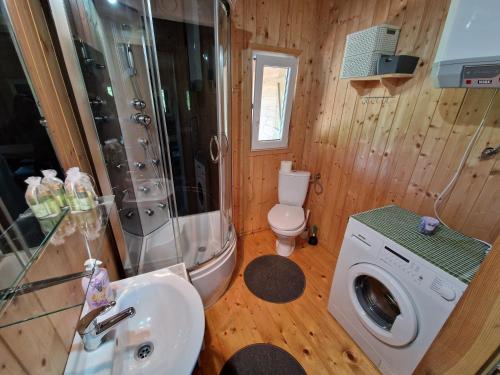 a bathroom with a shower and a toilet and a sink at Domek u Jędrka in Linowo
