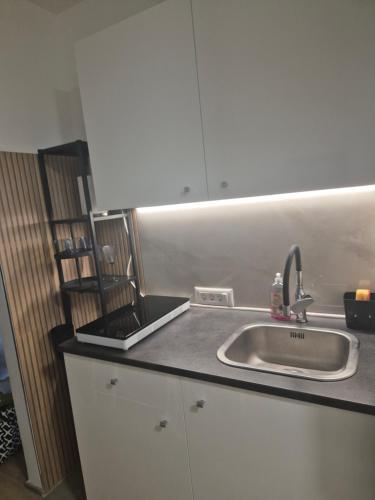 Milestone Studio apartment