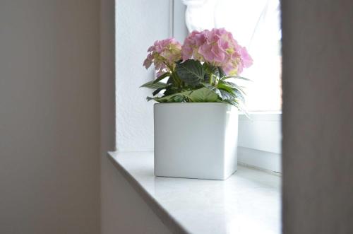 a white vase with flowers sitting on a window sill at Ferienwohnung Sporn in Hemfurth-Edersee