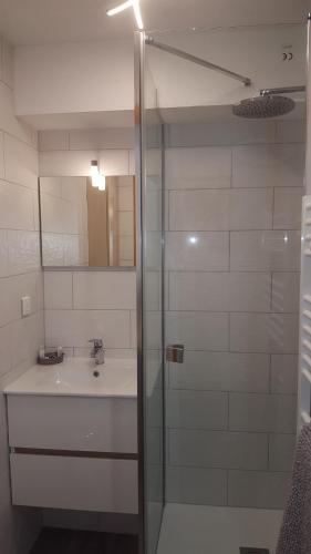 une salle de bain avec un lavabo et une douche dans l'établissement Appartement convivial à Thollon-les-Mémises, 35 m², vue montagne, à Thollon-les-Mémises