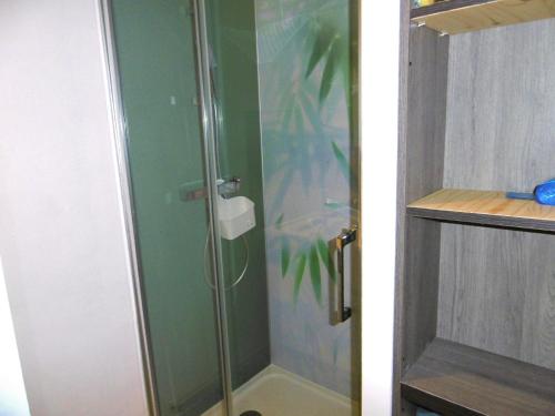 a shower with a glass door in a bathroom at Maison 4 pièces 5 personnes à 200 m de la plage - MAIANN in Sarzeau