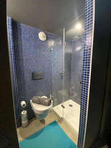 a blue tiled bathroom with a toilet and a shower at Loft Bellamy in Nantes