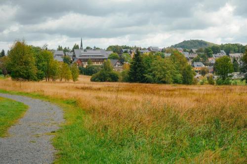 a path through a field with a town in the background at Pension Zum Erzgebirge in Kurort Altenberg