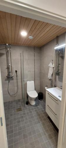 a bathroom with a toilet and a shower and a sink at Apartment in seaside Helsinki 83M2 with Sauna boat to Estonia 450 m from apartment in Helsinki