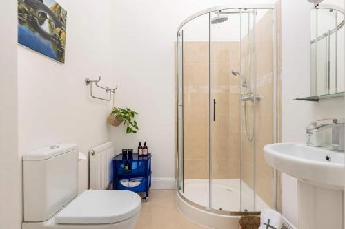 a bathroom with a shower and a toilet and a sink at King bedroom en-suit bathroom, easy to city centre in Foxrock