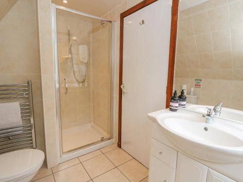 a bathroom with a shower and a sink and a toilet at Lodge 2 - Inglewood Lodge in Spean Bridge
