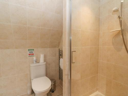 a bathroom with a toilet and a shower at Lodge 2 - Inglewood Lodge in Spean Bridge