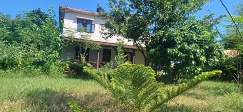 Gallery image of Bardiya Eco Safary Homestay in Bhurkīā