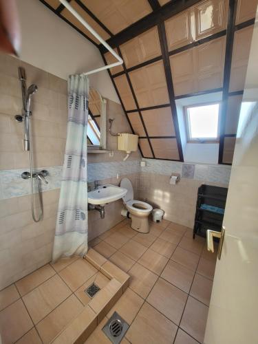 a bathroom with a shower and a sink and a toilet at Erika Apartman in Balatonlelle