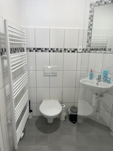 a white bathroom with a toilet and a sink at Penzion Kopanský mlýn in Statenice