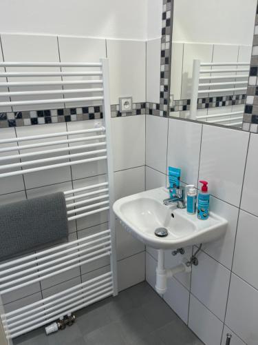 a white bathroom with a sink and a mirror at Penzion Kopanský mlýn in Statenice