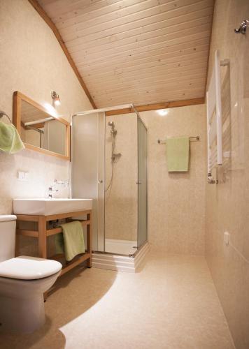 a bathroom with a shower and a toilet and a sink at Fazenda na Goncharakh in Ganʼchary
